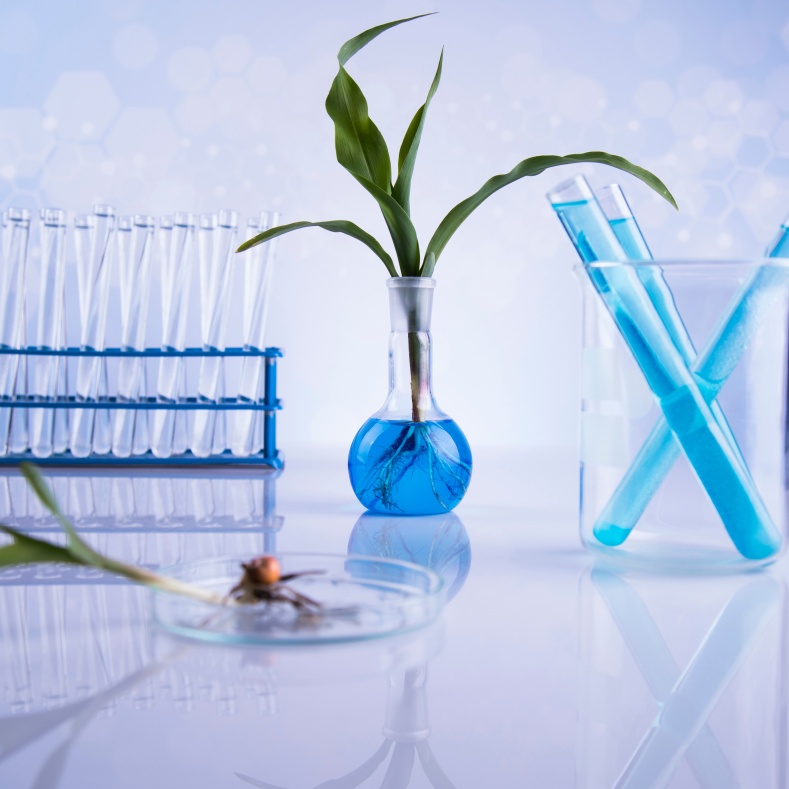 chemical webinar 2024