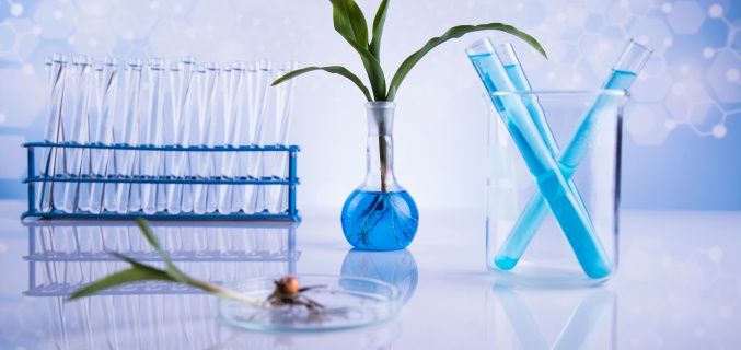 chemical webinar 2024