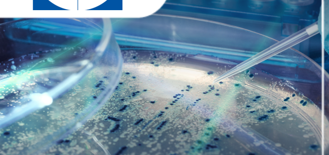 UCB’s 15-Year Journey with Planisware Built the Project Foundation for Future Success